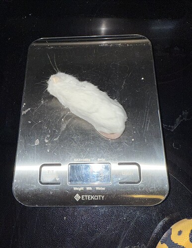 Screen Shot 2025-04-10 at 5.58.30 PM