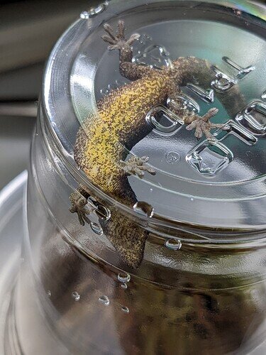 PXL_20220719_175429078