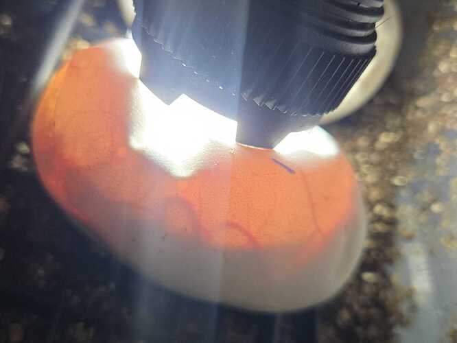20260819_110422