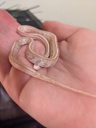 PXL_20251109_015327366