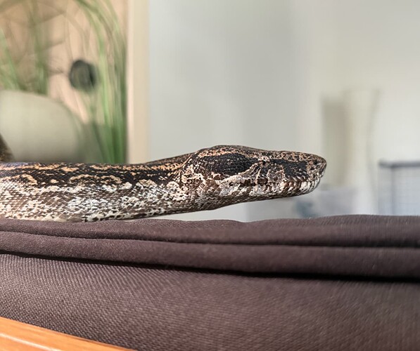 Screenshot 2026-04-13 at 9.00.21 PM