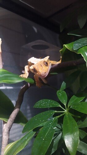 IMG_20220718_215756_1