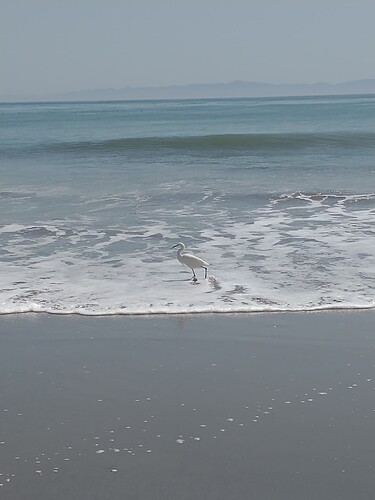IMG_20250407_141039027