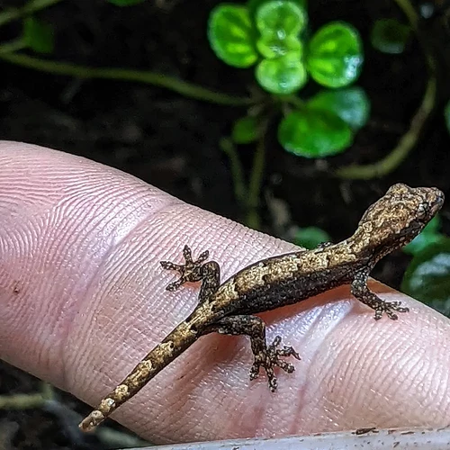 IMG_20220623_175935_482