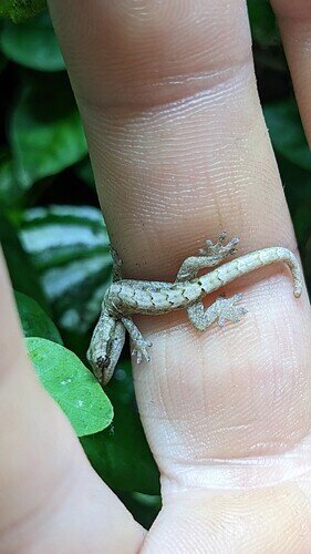 PXL_20230510_184249323