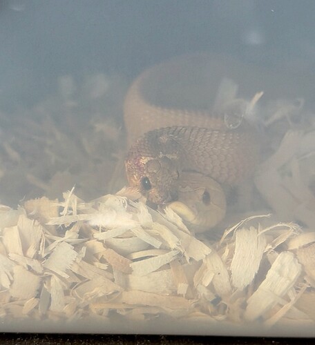 exported_8D8D85C1-5869-4011-9B50-920F025CC103