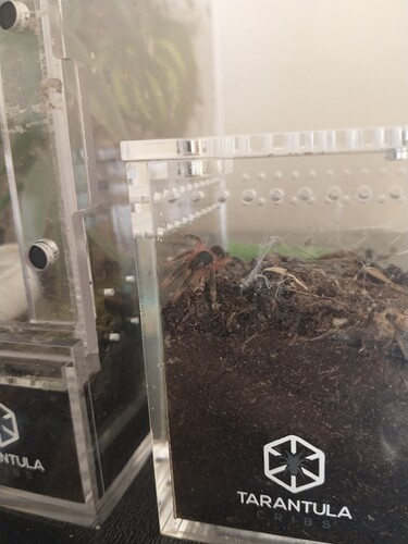 IMG_20250427_142151950