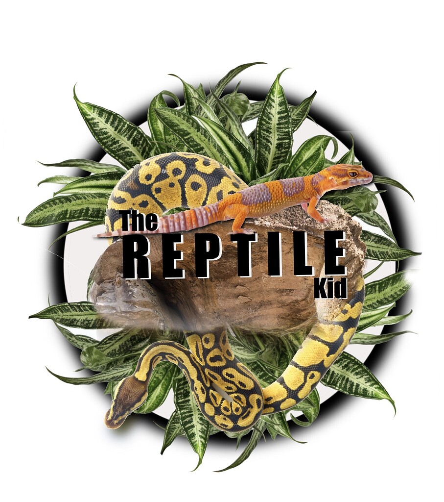 Reptile Enthusiasts Community Online preview