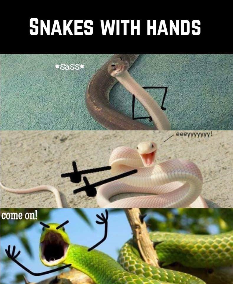 caption-that-reads-snakes-with-hands-above-three-pics-of-snakes-with-drawn-on-hands-and-arms