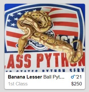 ass python