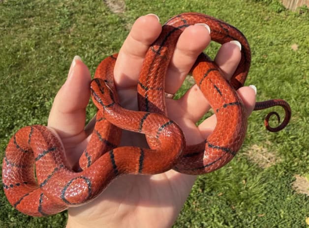 Screenshot 2025-09-30 122544