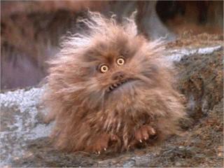 Fizzgig