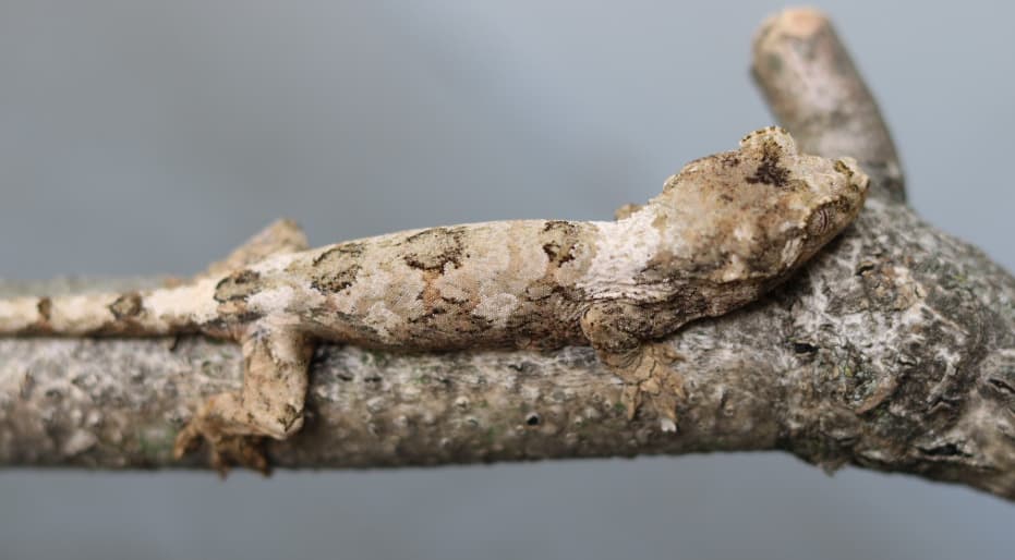 Screenshot 2025-09-30 122833