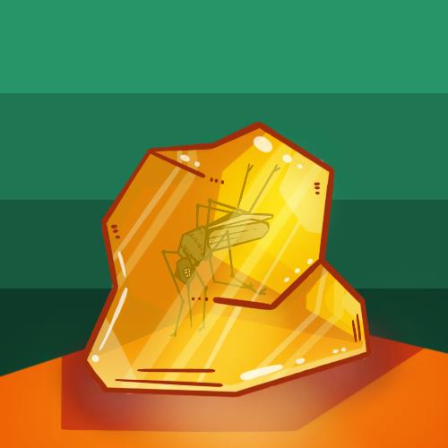 Amber