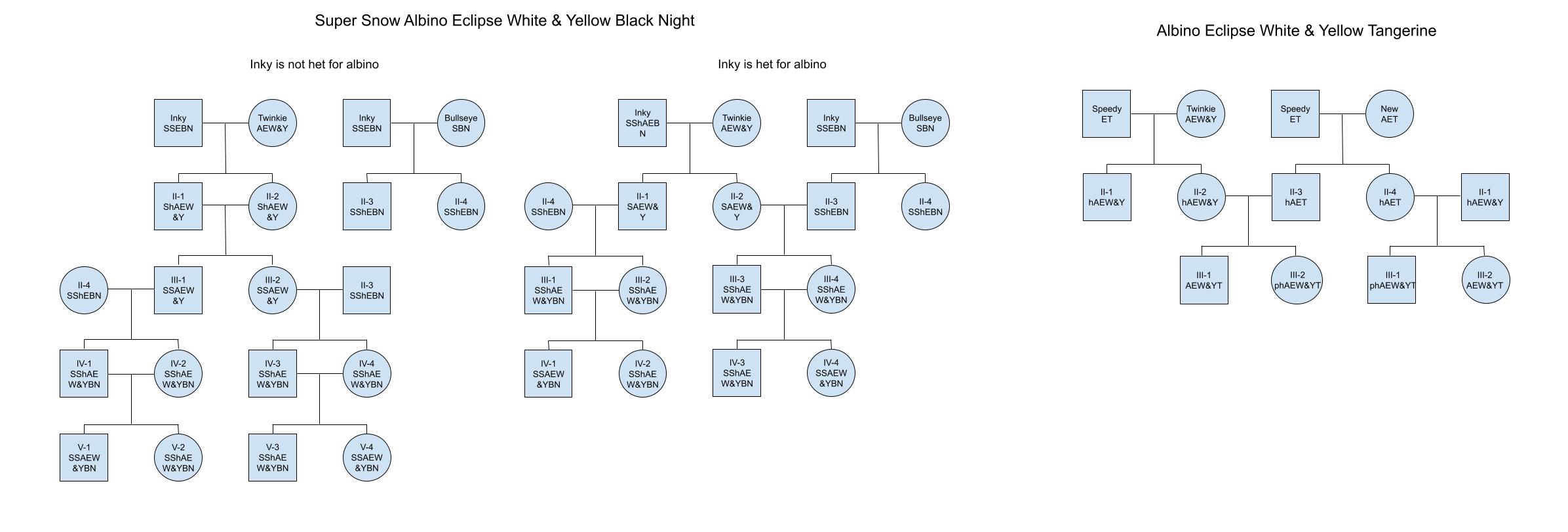 Family Tree/Pedigree - All Reptiles - MorphMarket Reptile Community