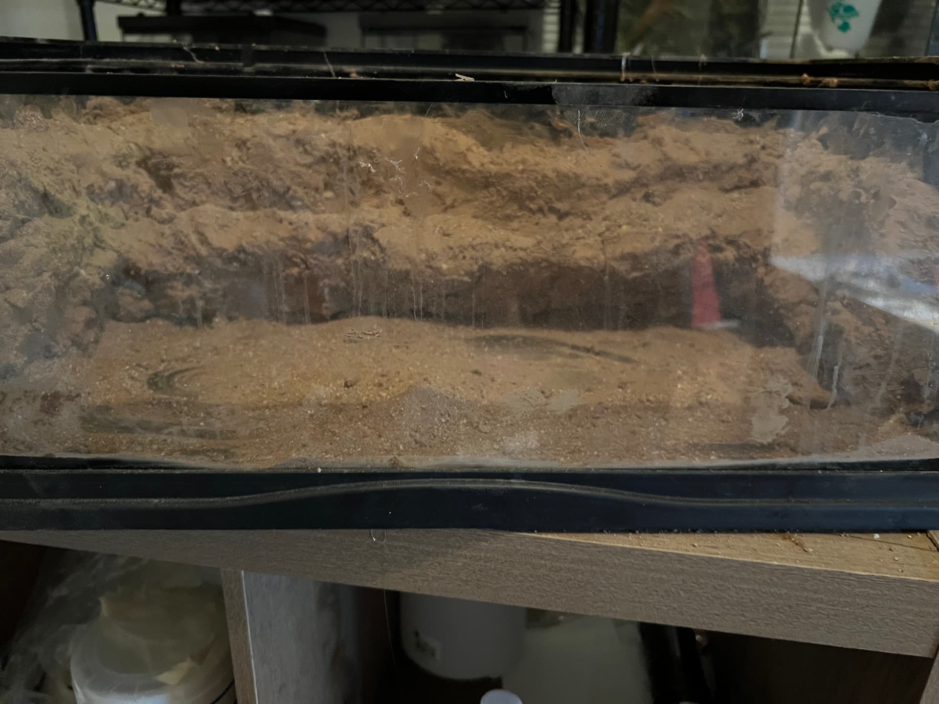 Leopard Gecko Tank with Excavator Clay 