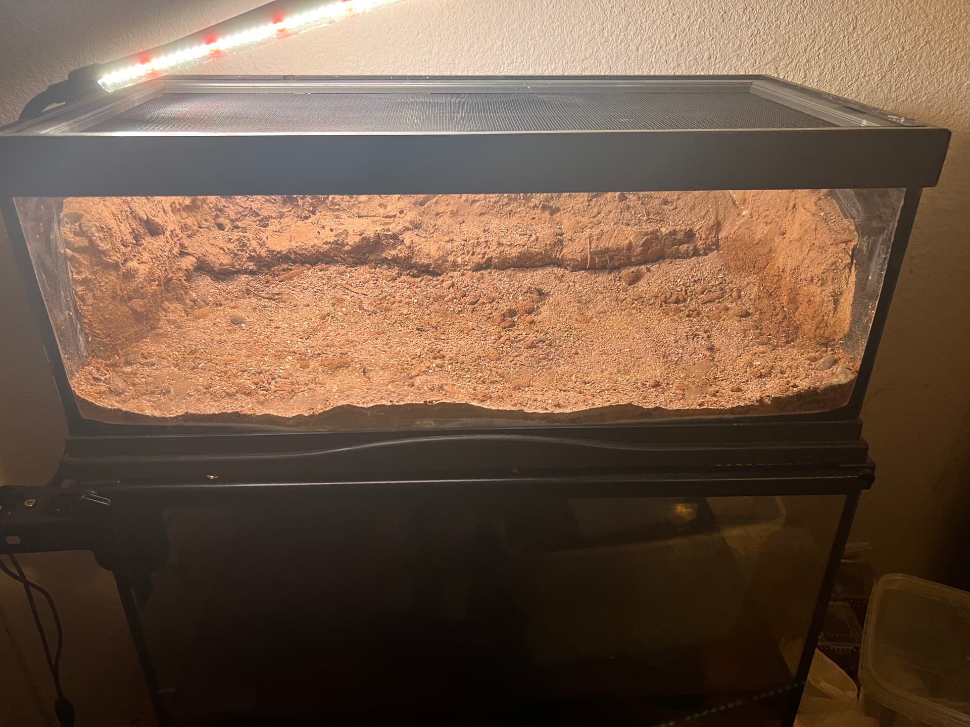 Leopard Gecko Tank with Excavator Clay 