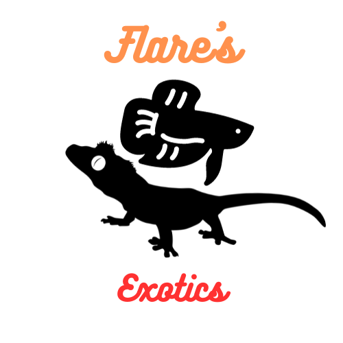 Flare's Exotics