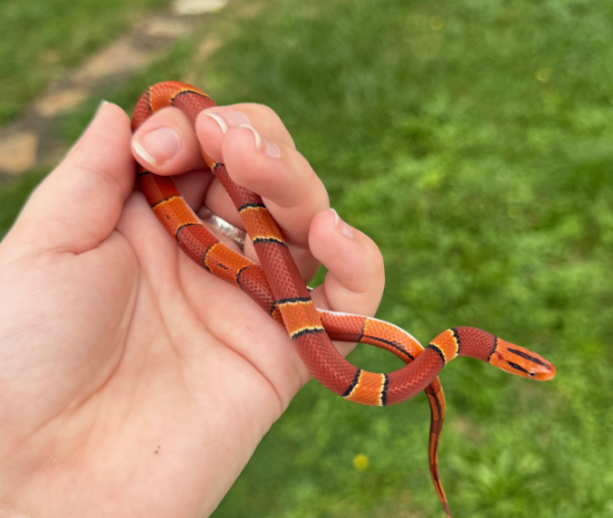 Screenshot 2025-09-30 122534