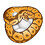 auletto_reptiles