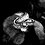 avery_s avery_s