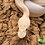 bioxotics
