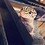 lillupe_21