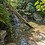 limelight_ecology