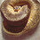 mike_9008