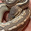 slither_shack