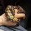 snake-obsessed-lesbo