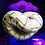 snakekittyfishy