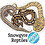 snowgyre