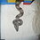 thesupersnakeshow thesupersnakeshow