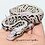 wantmorereptiles